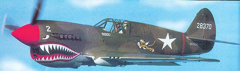 P-40 Warhawk ARF. 1360 mm.
